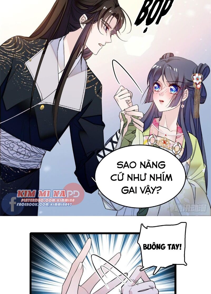 Tự Cẩm Chapter 61 - 56