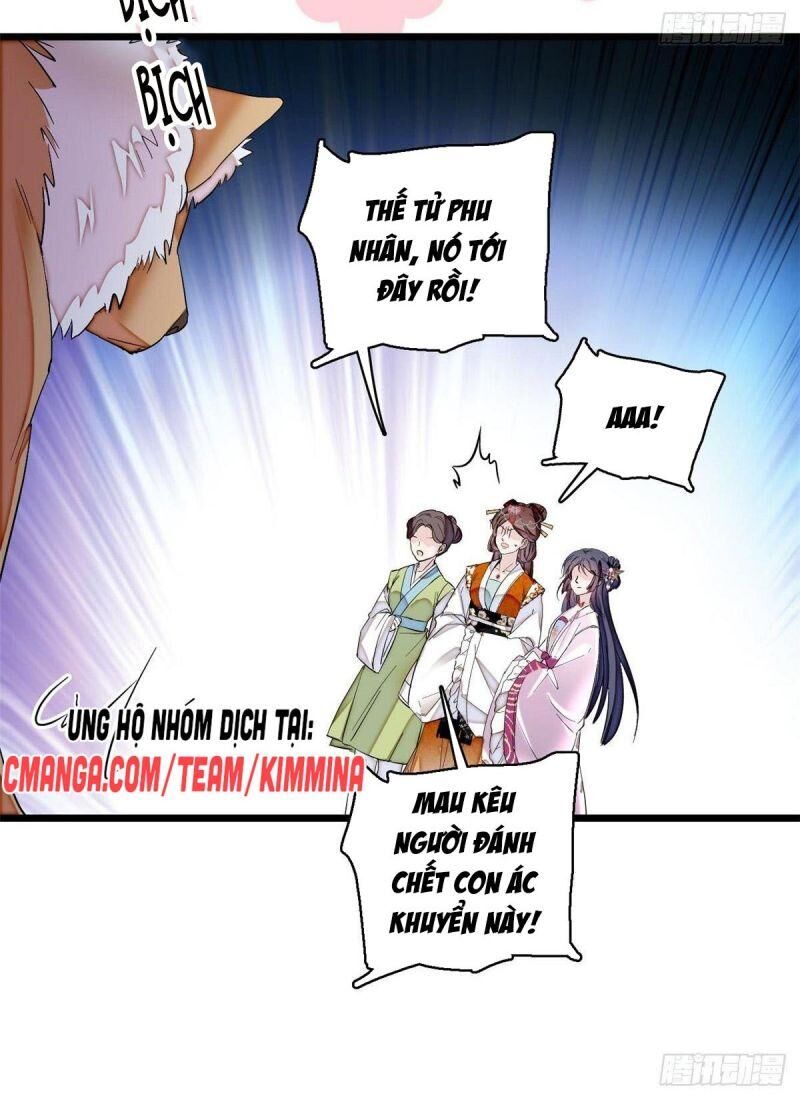 Tự Cẩm Chapter 74 - 13