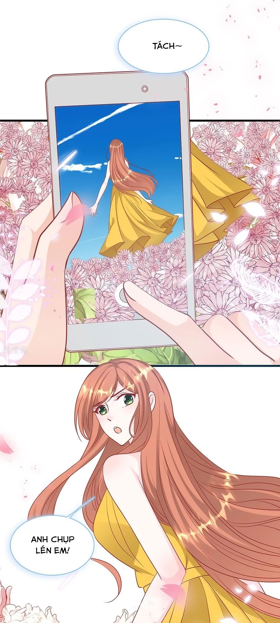 Tổng Tài Daddy Đuổi Tới Nơi Rồi Chapter 62 - 22