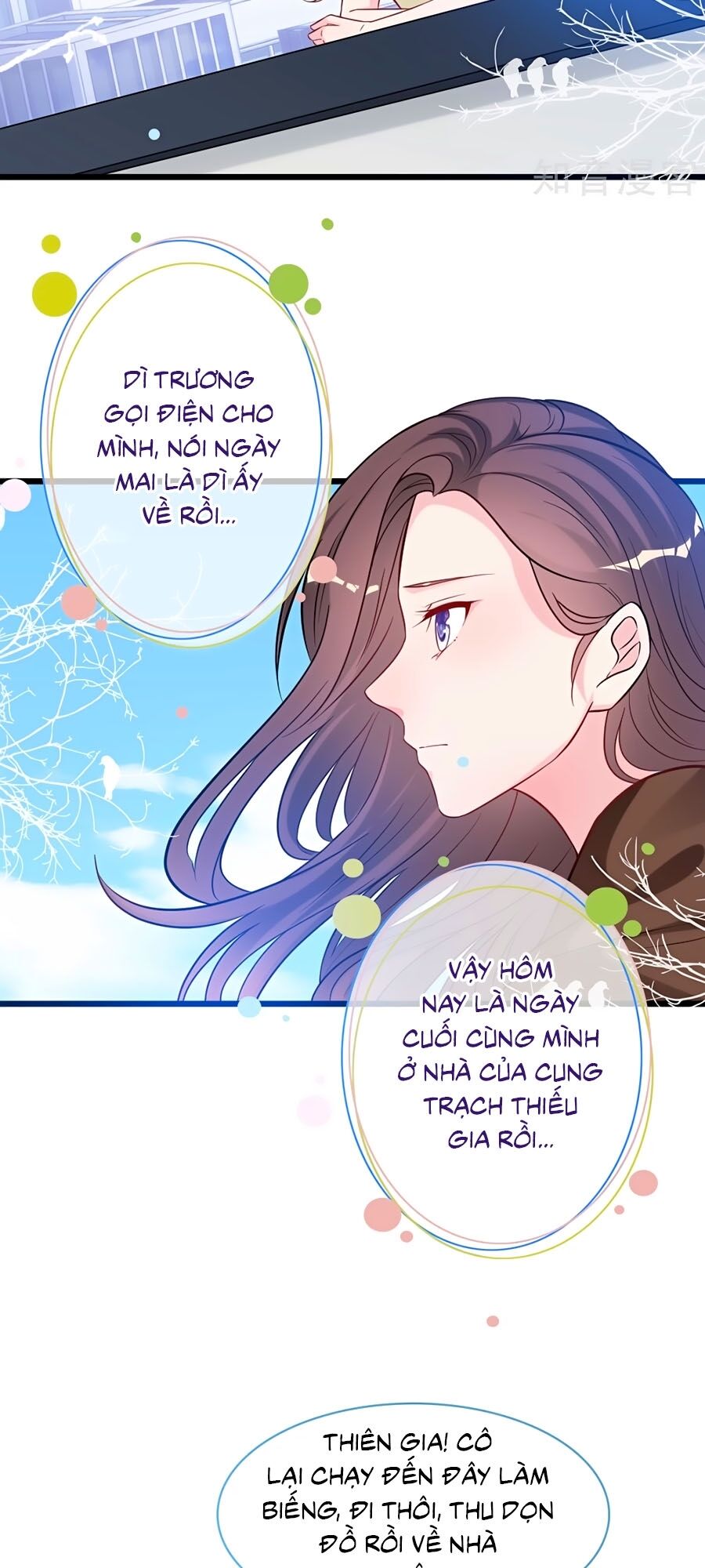 Tổng Tài Daddy Đuổi Tới Nơi Rồi Chapter 92 - 16