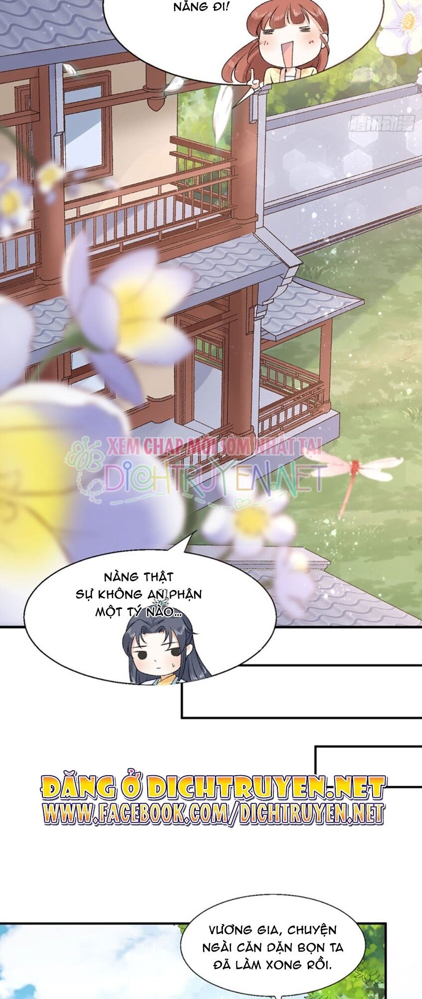 Tang Lạc Túy Tại Nam Phong Lý Chapter 48 - 3