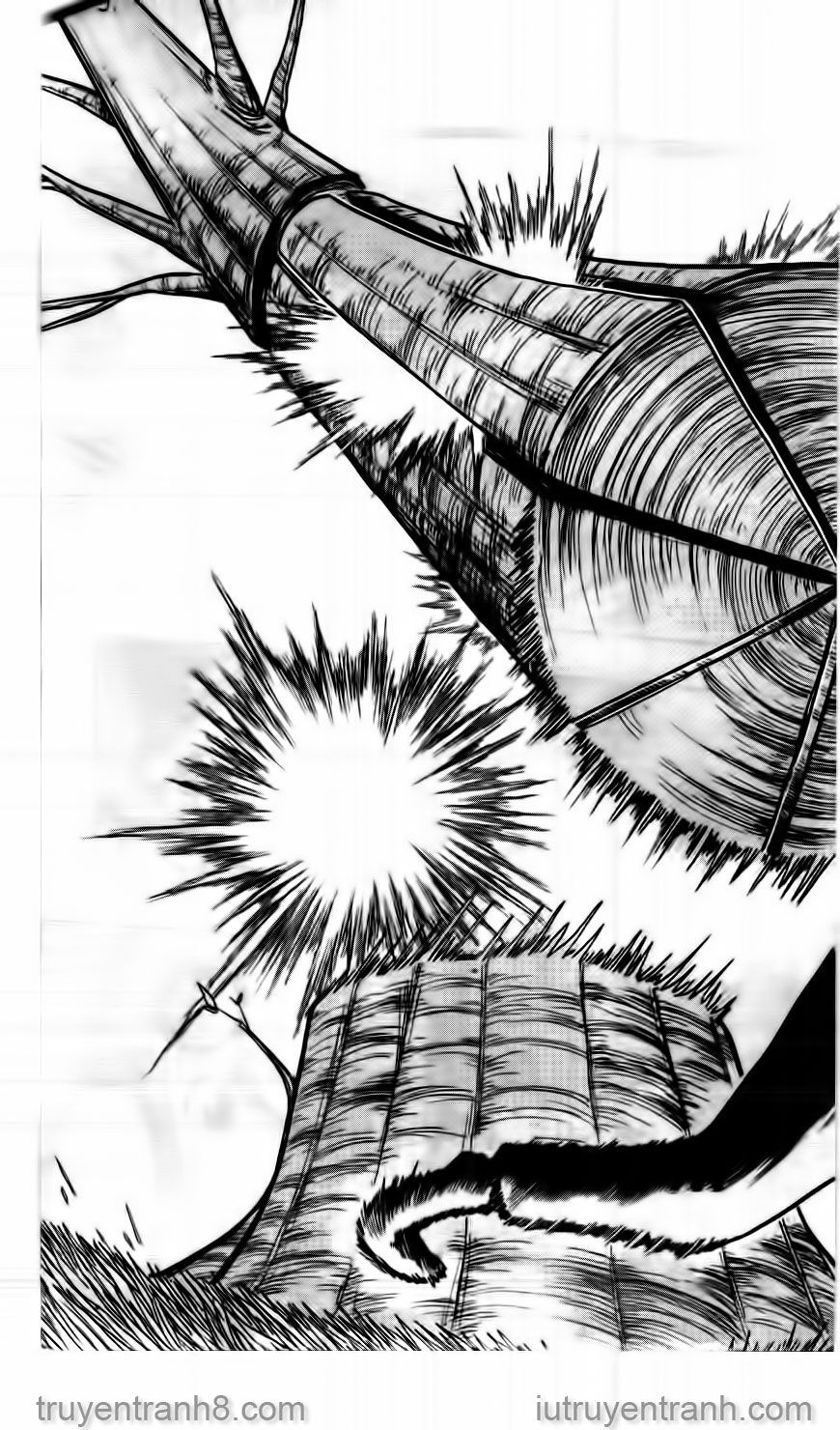Law Of Ueki Chapter 13 - 19