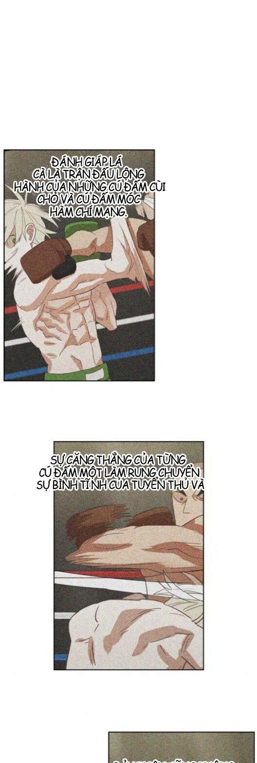 Võ Sĩ Quyền Anh Chapter 36 - 16