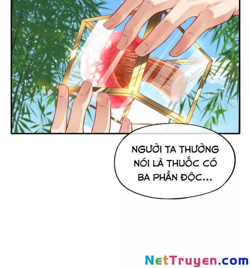 Vòng Bạn Bè Mạnh Nhất Của Tiên Giới Chapter 47 - 4