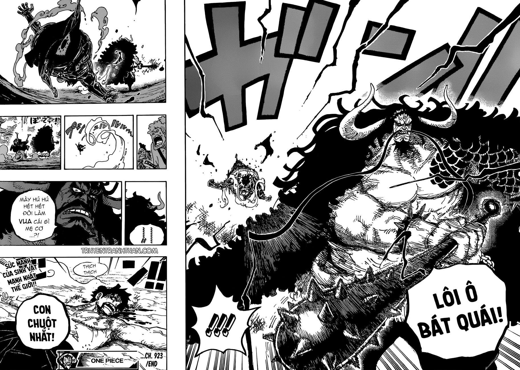 One Piece Chapter 923 - 13