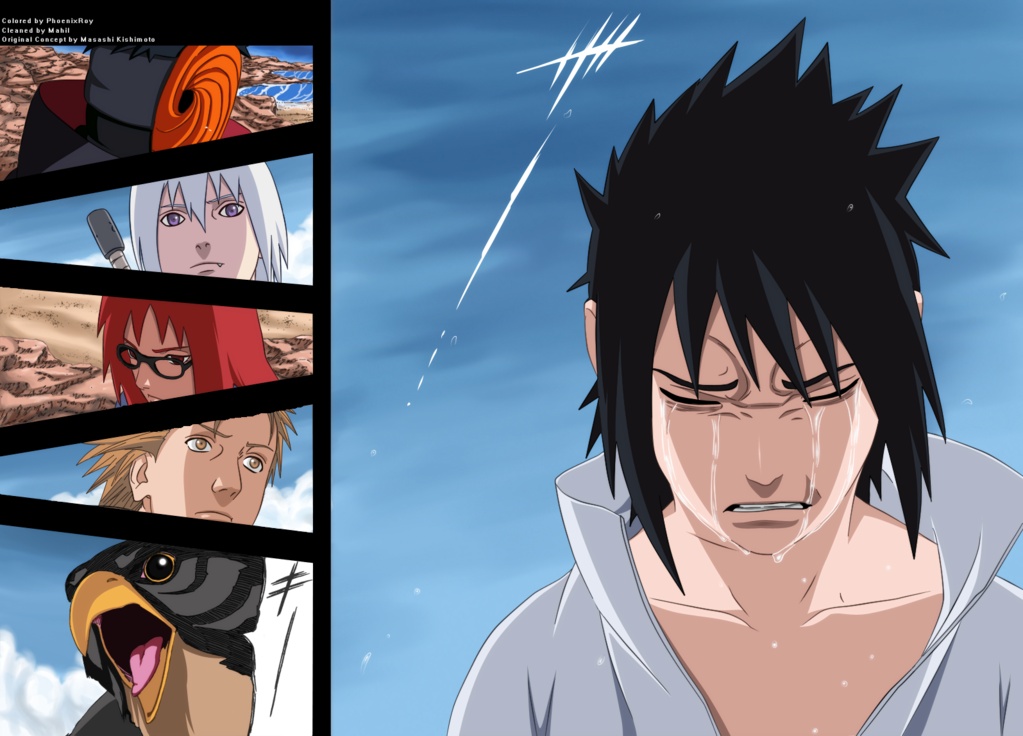 Naruto Chapter 528 - 17