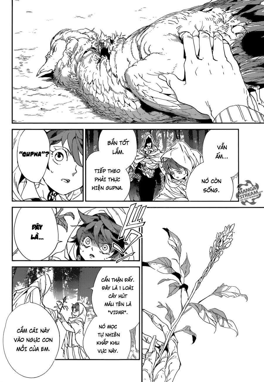 The Promised Neverland Chapter 49 - 13