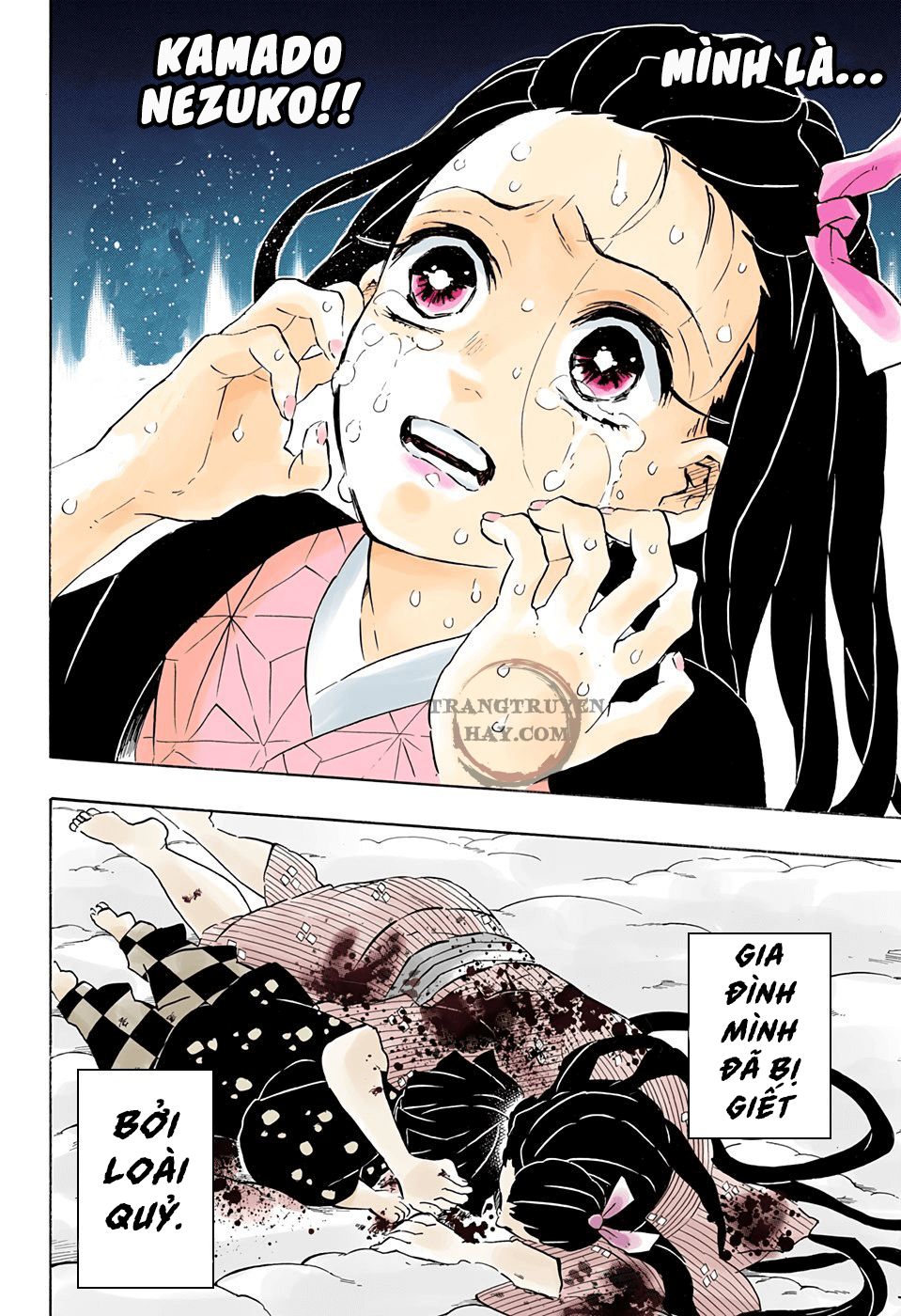 Thanh Gươm Diệt Quỷ Chapter 196 - 13