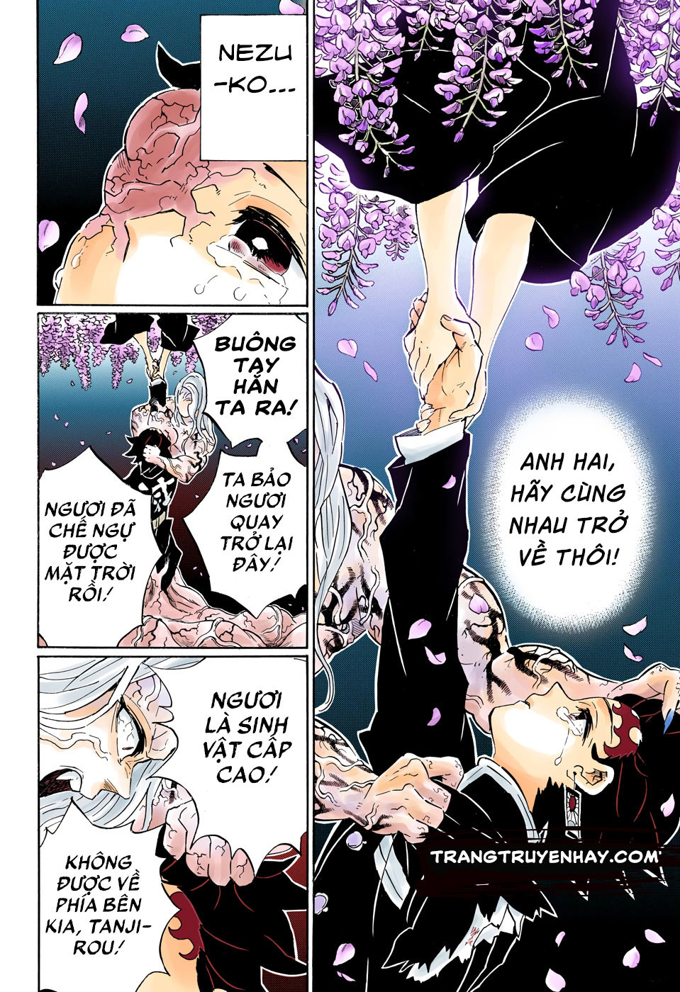 Thanh Gươm Diệt Quỷ Chapter 203 - 12