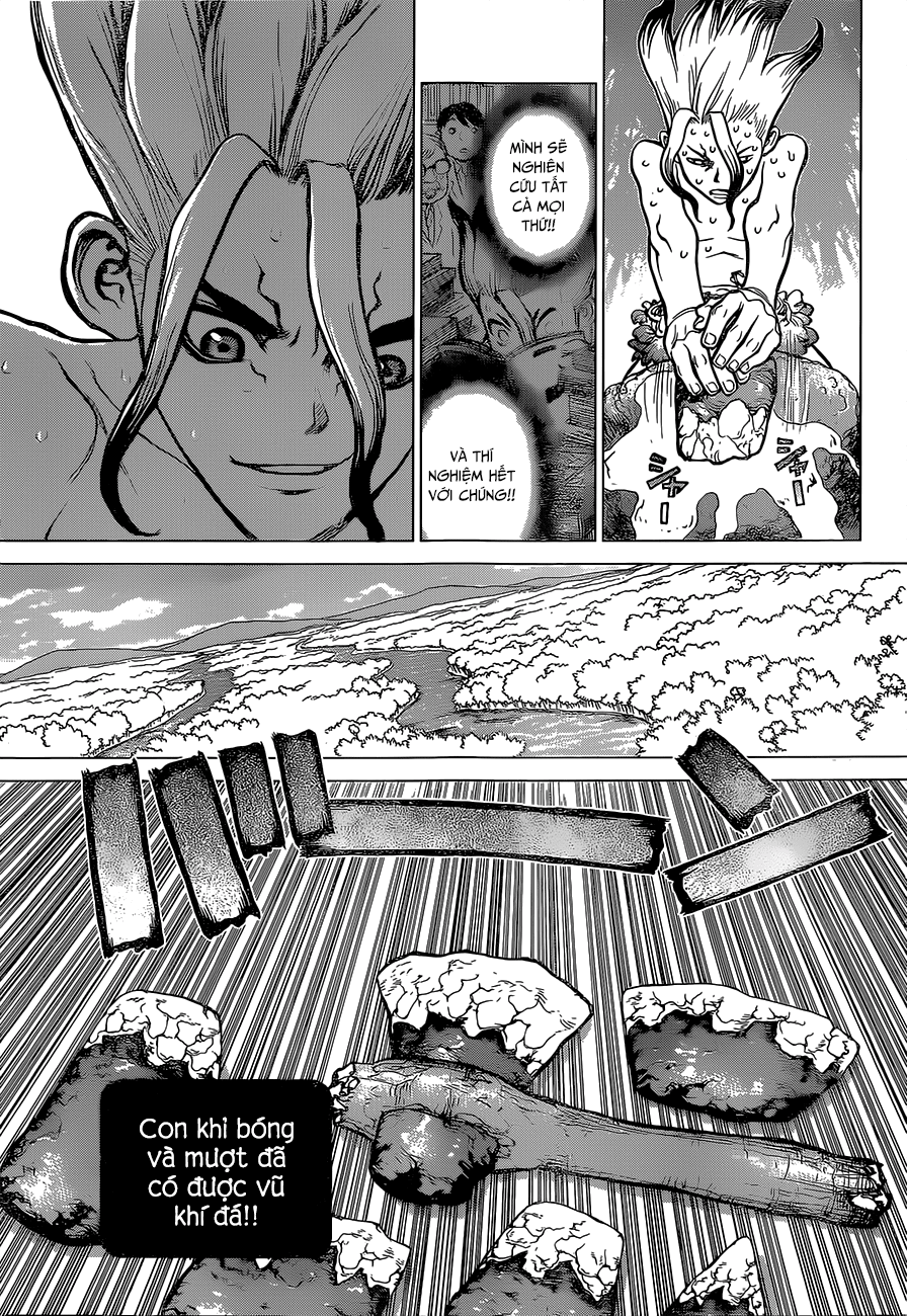 Dr.stone Chapter 13 - 13
