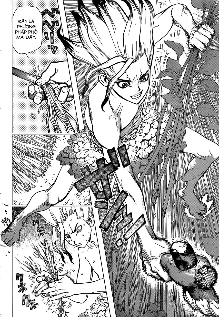 Dr.stone Chapter 13 - 14