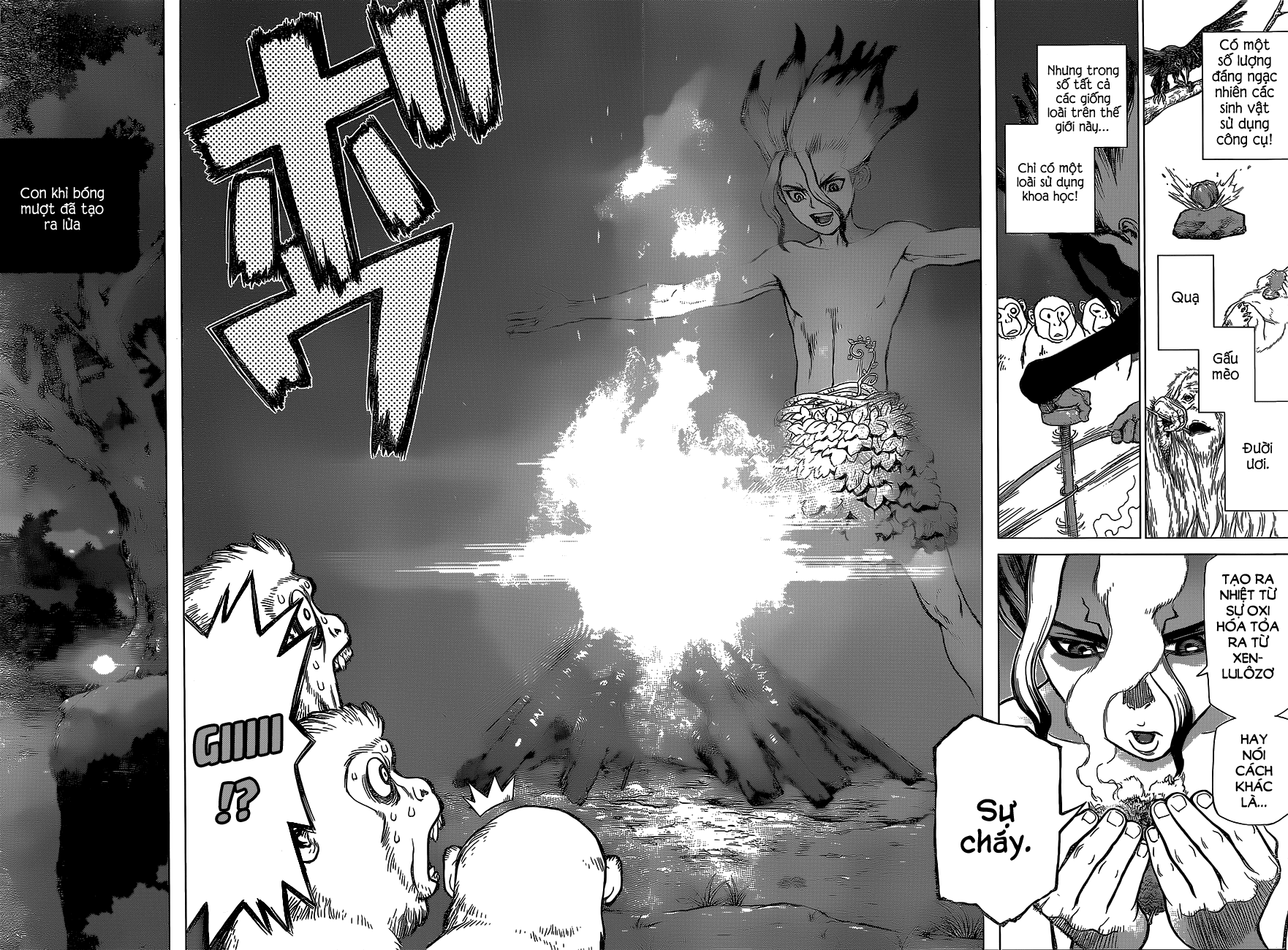 Dr.stone Chapter 13 - 16