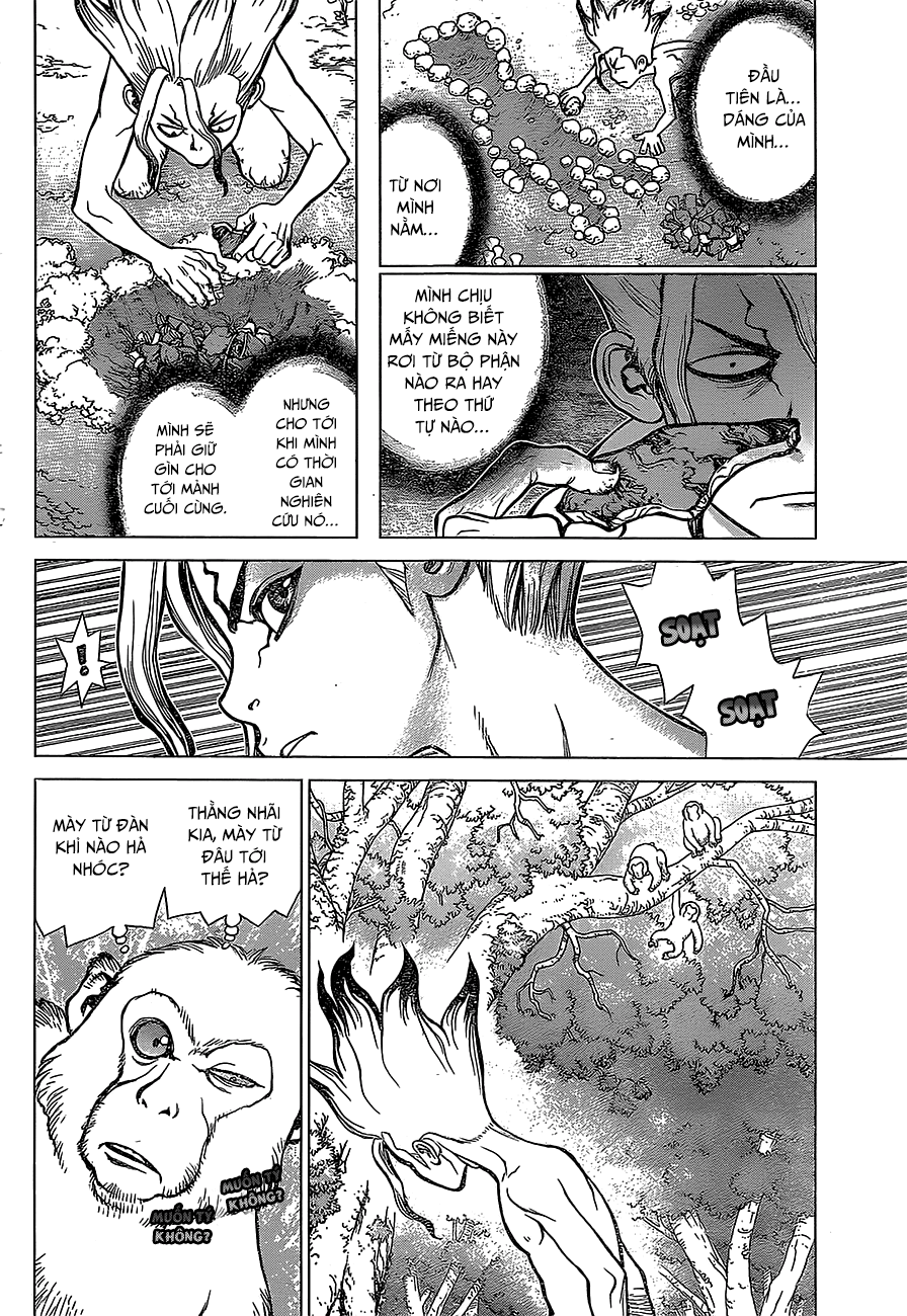 Dr.stone Chapter 13 - 5