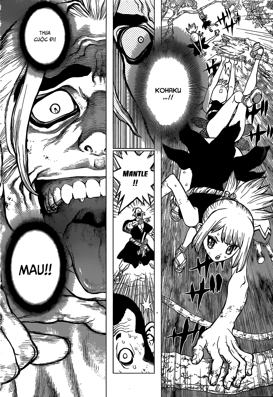 Dr.stone Chapter 36 - 11