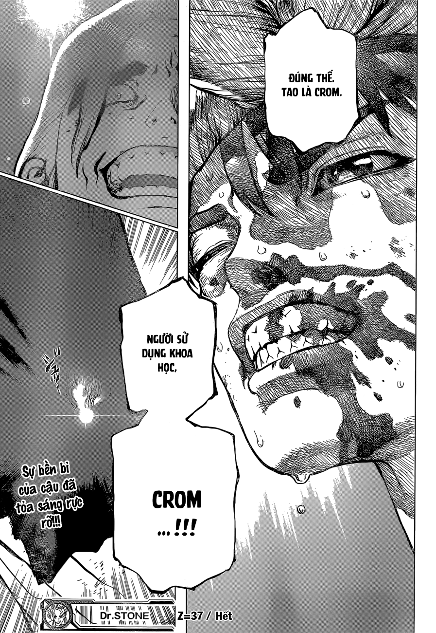 Dr.stone Chapter 37 - 19