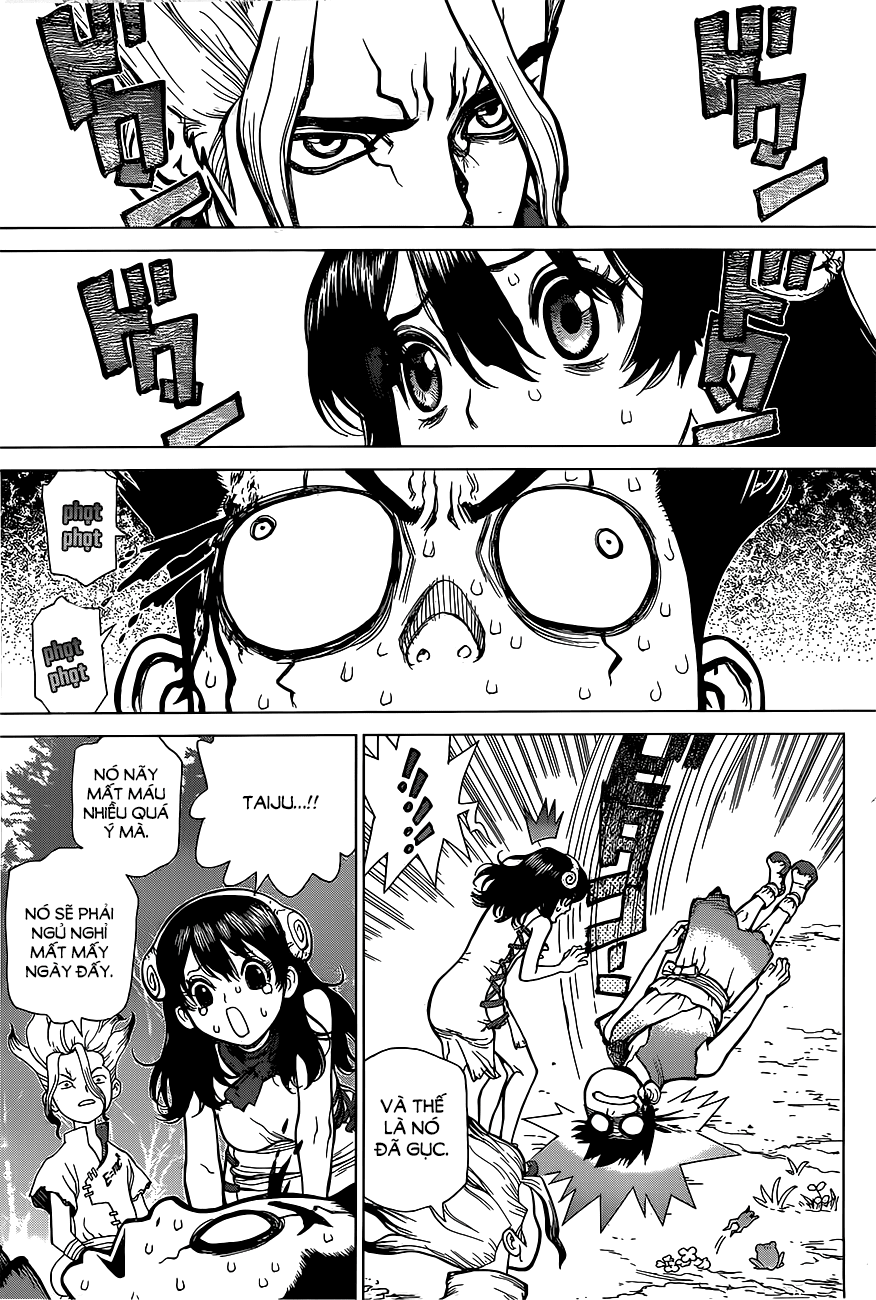 Dr.stone Chapter 6 - 14