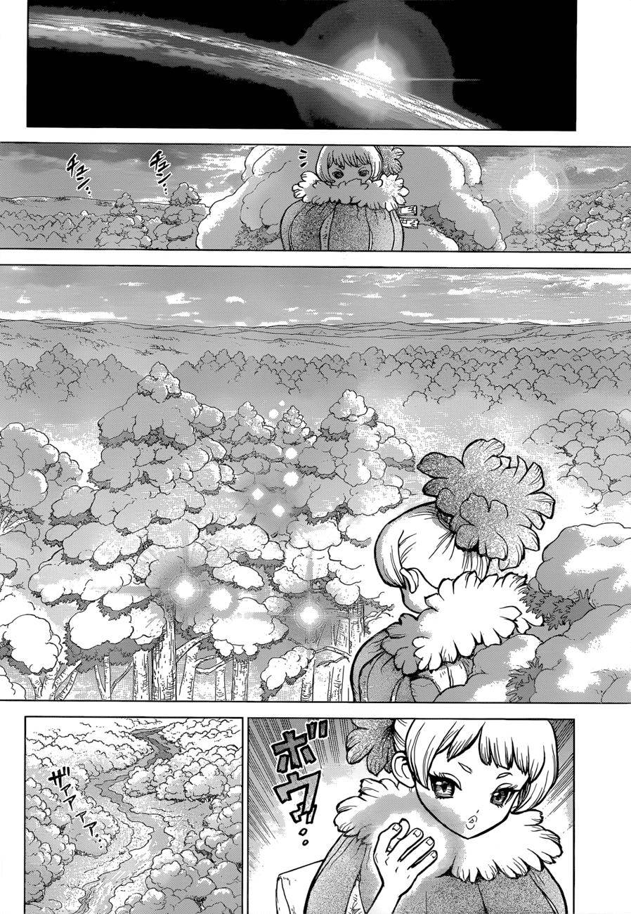 Dr.stone Chapter 63 - 11