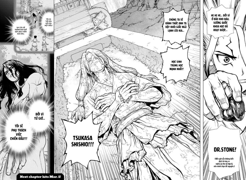 Dr.stone Chapter 140 - 24