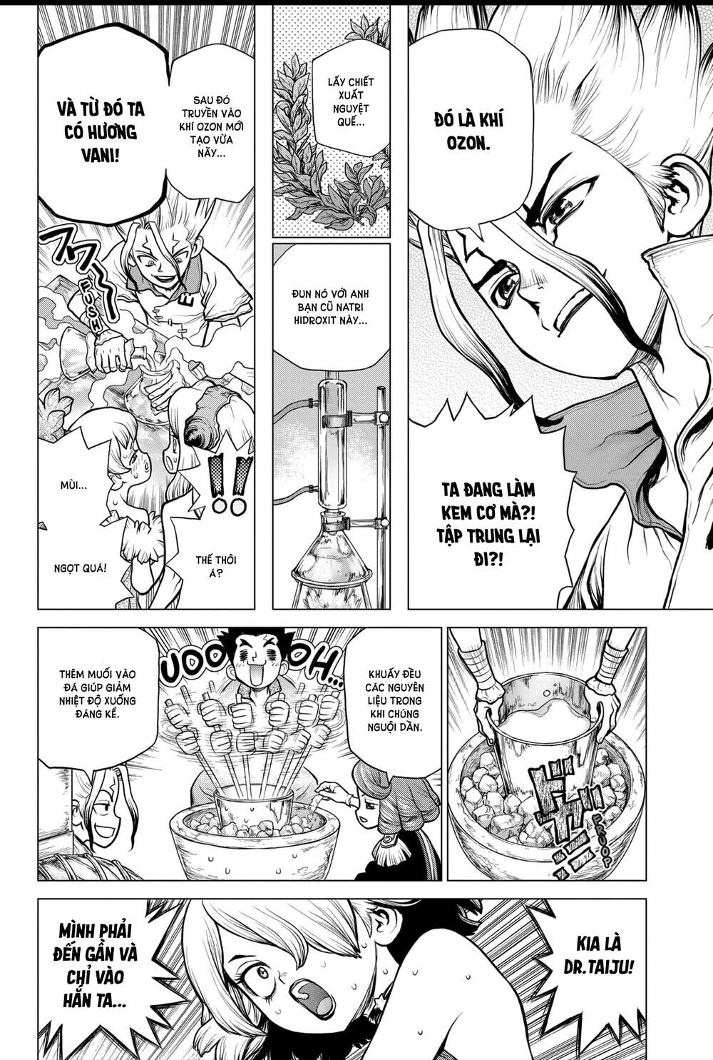 Dr.stone Chapter 155 - 13