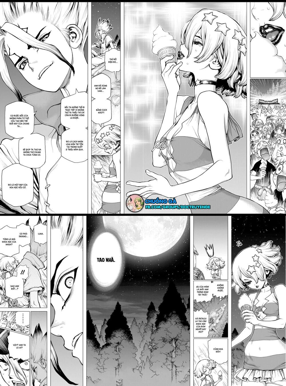 Dr.stone Chapter 155 - 15