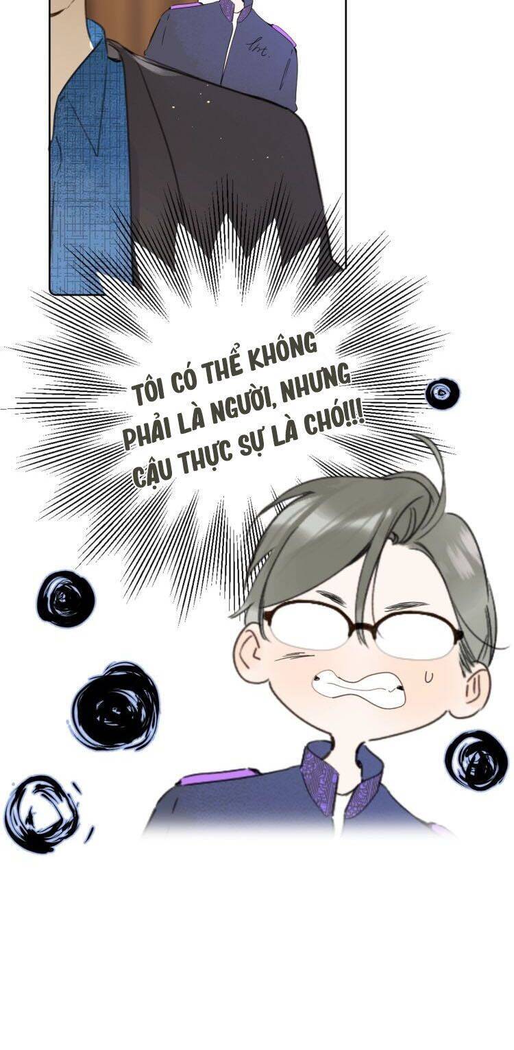 Đừng Khóc Chapter 36 - 29