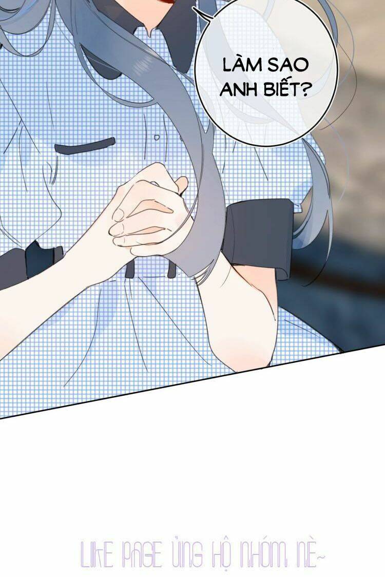 Đừng Khóc Chapter 39 - 31