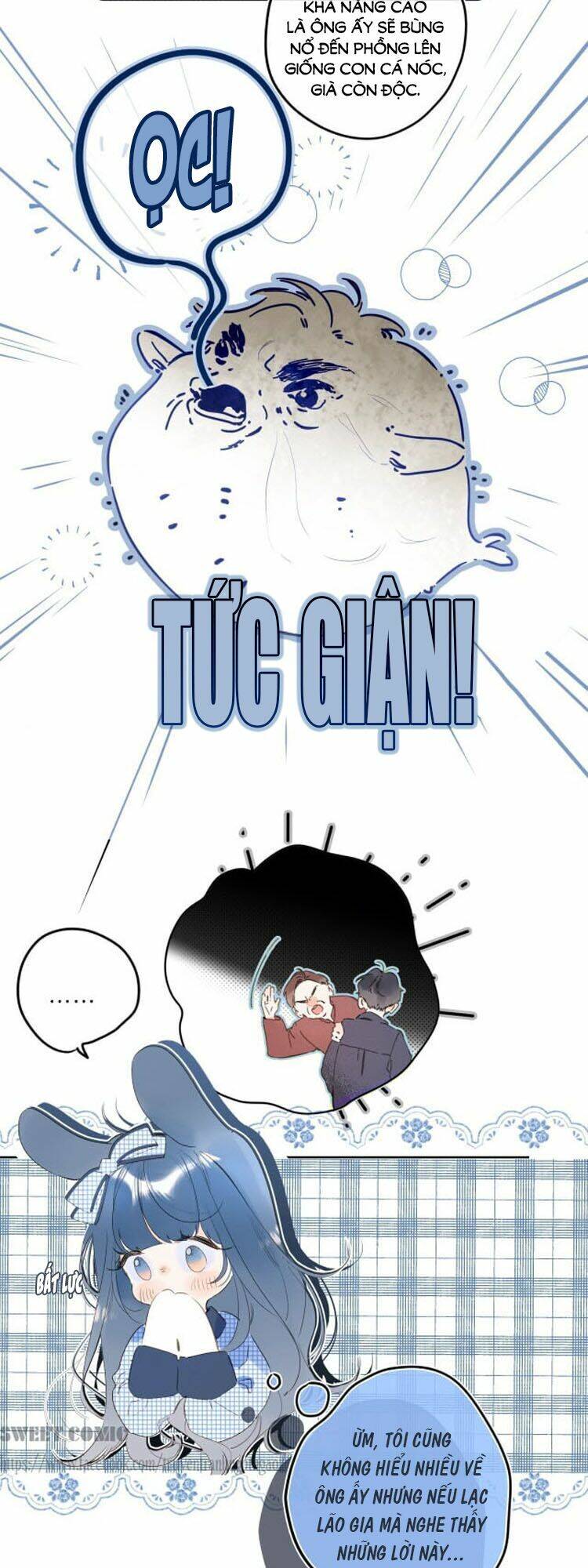 Đừng Khóc Chapter 43 - 10