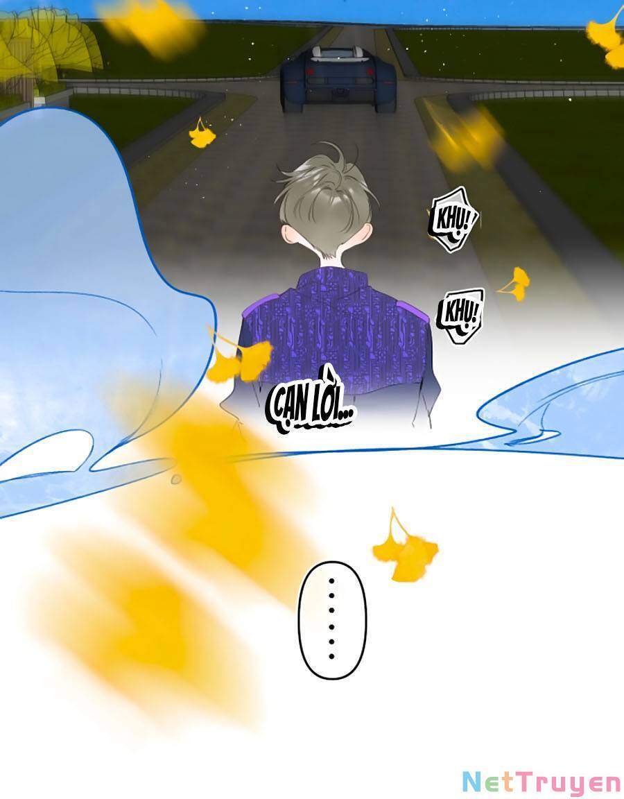 Đừng Khóc Chapter 61 - 17