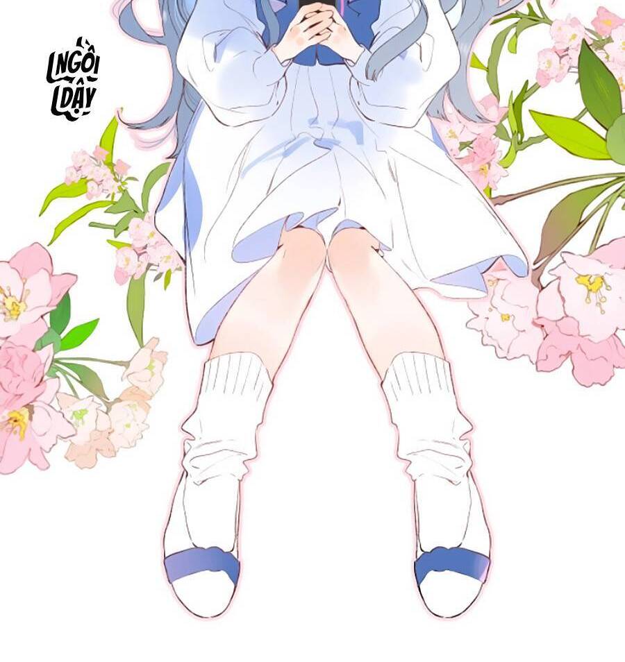 Đừng Khóc Chapter 84 - 14