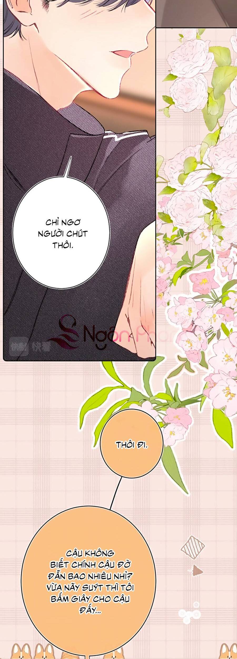Đừng Khóc Chapter 98 - 3