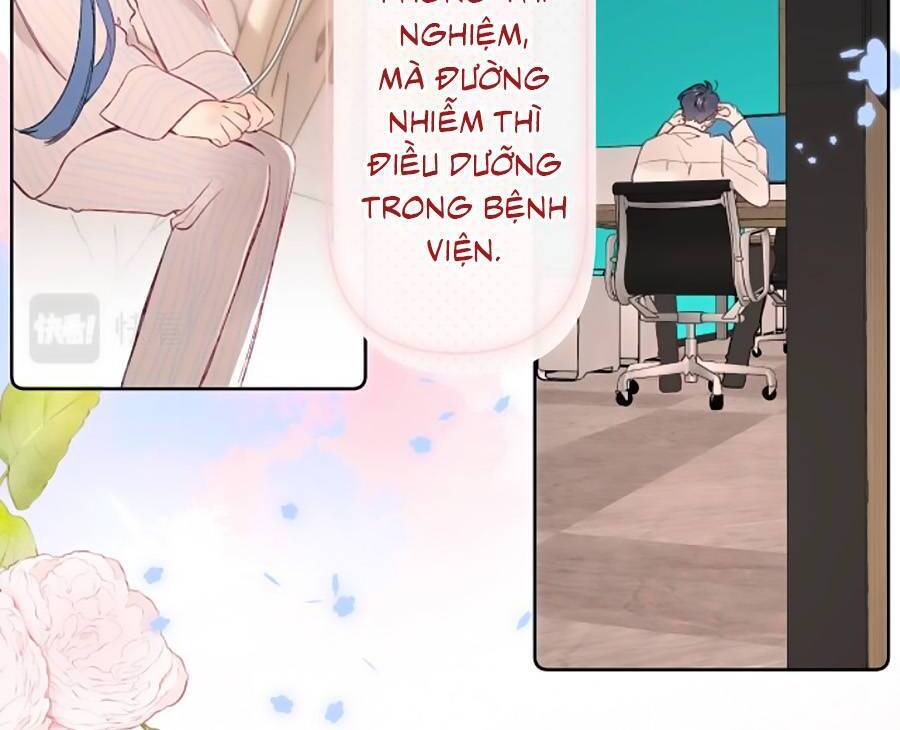 Đừng Khóc Chapter 98 - 7