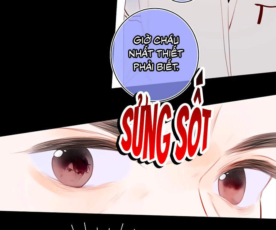 Đừng Khóc Chapter 51 - 24
