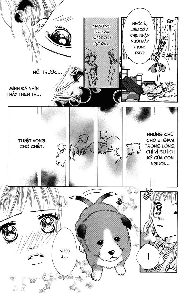 Cô Láng Giềng Chapter 9 - 10