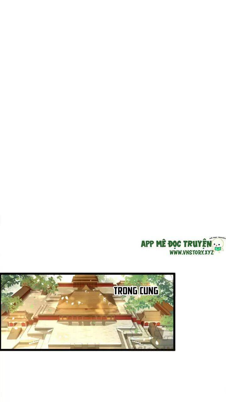 Phượng Hoàng Vu Phi Chapter 88 - 11