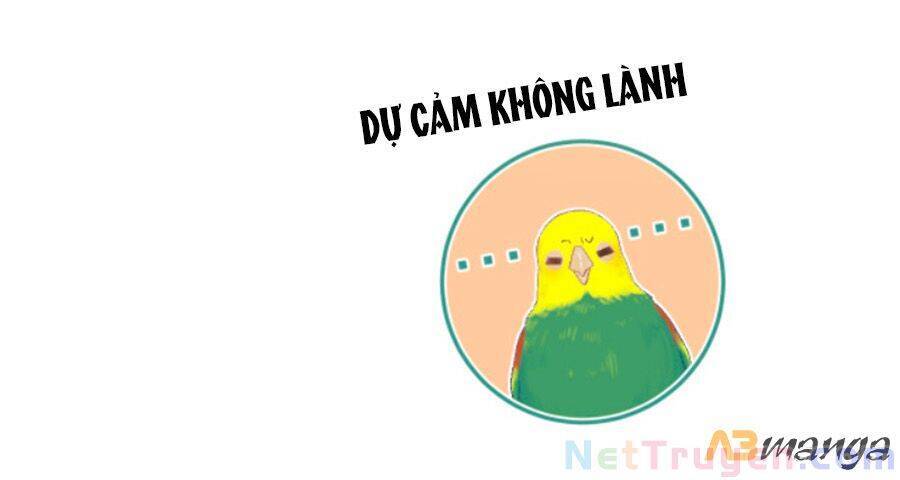 Sao Giờ, Đẩy Thuyền Tới Muốn Yêu Chapter 8 - 5