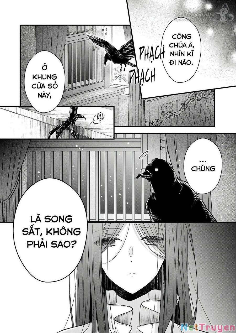 Vị Hôn Phu Của Tôi Đã Rơi Vào Lưới Tình Với Em Gái Chapter 6 - 11