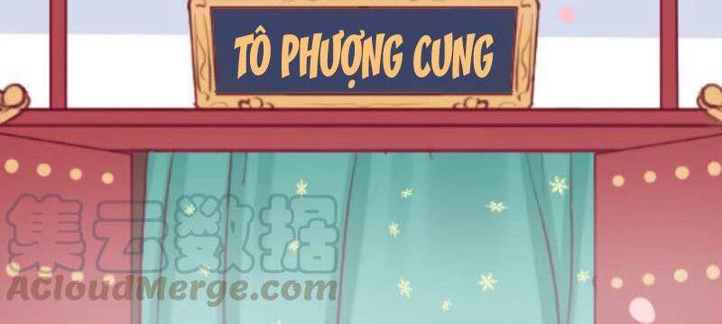 Hoàng Hậu Bận Lắm Chapter 145 - 2