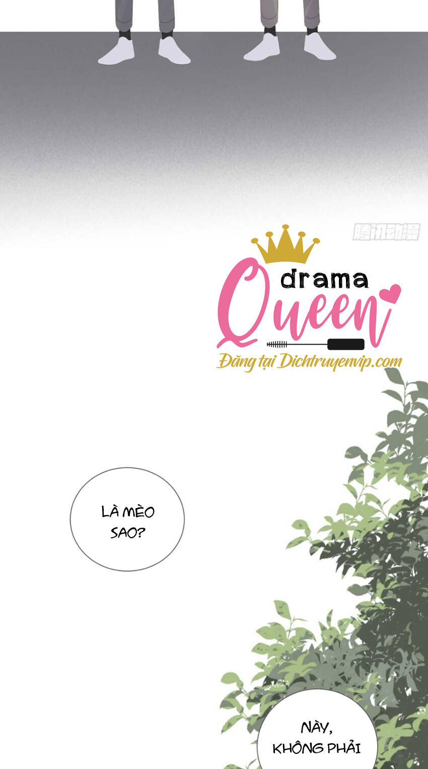 Sinh Hạ Long Chủng Chapter 215 - 45