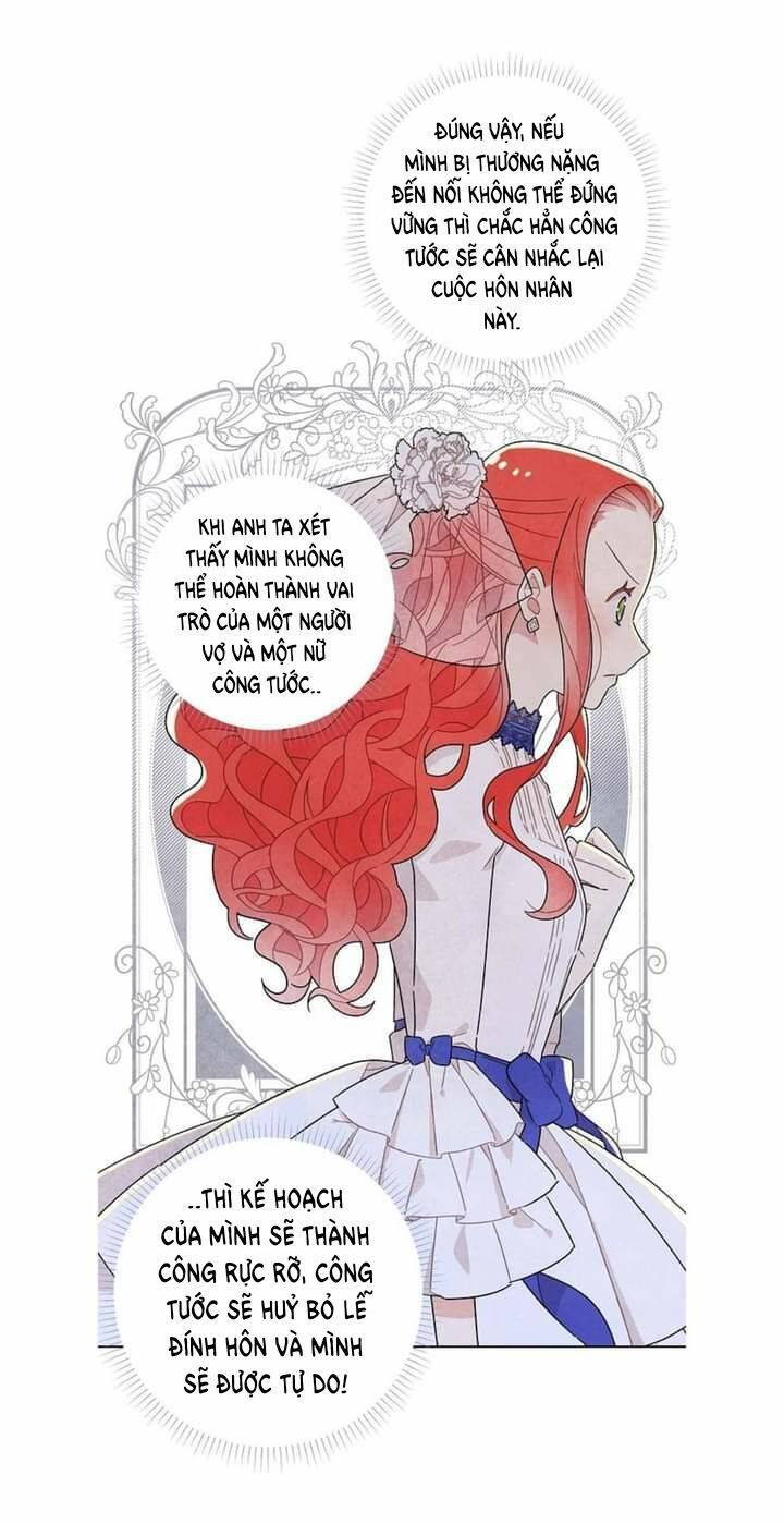 Tôi Đã Cướp Mất Đêm Đầu Tiên Của Nam Chính Chapter 15 - 14