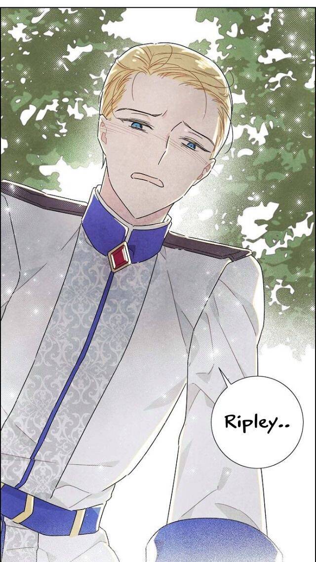 Tôi Đã Cướp Mất Đêm Đầu Tiên Của Nam Chính Chapter 15 - 50