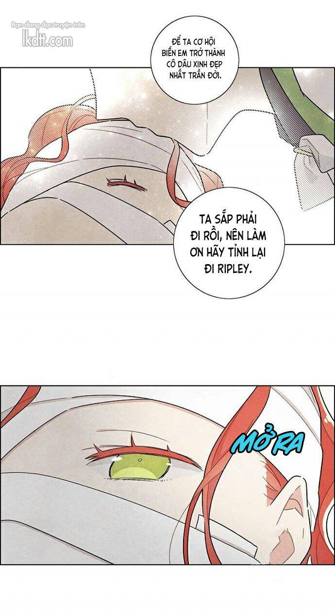 Tôi Đã Cướp Mất Đêm Đầu Tiên Của Nam Chính Chapter 17 - 65