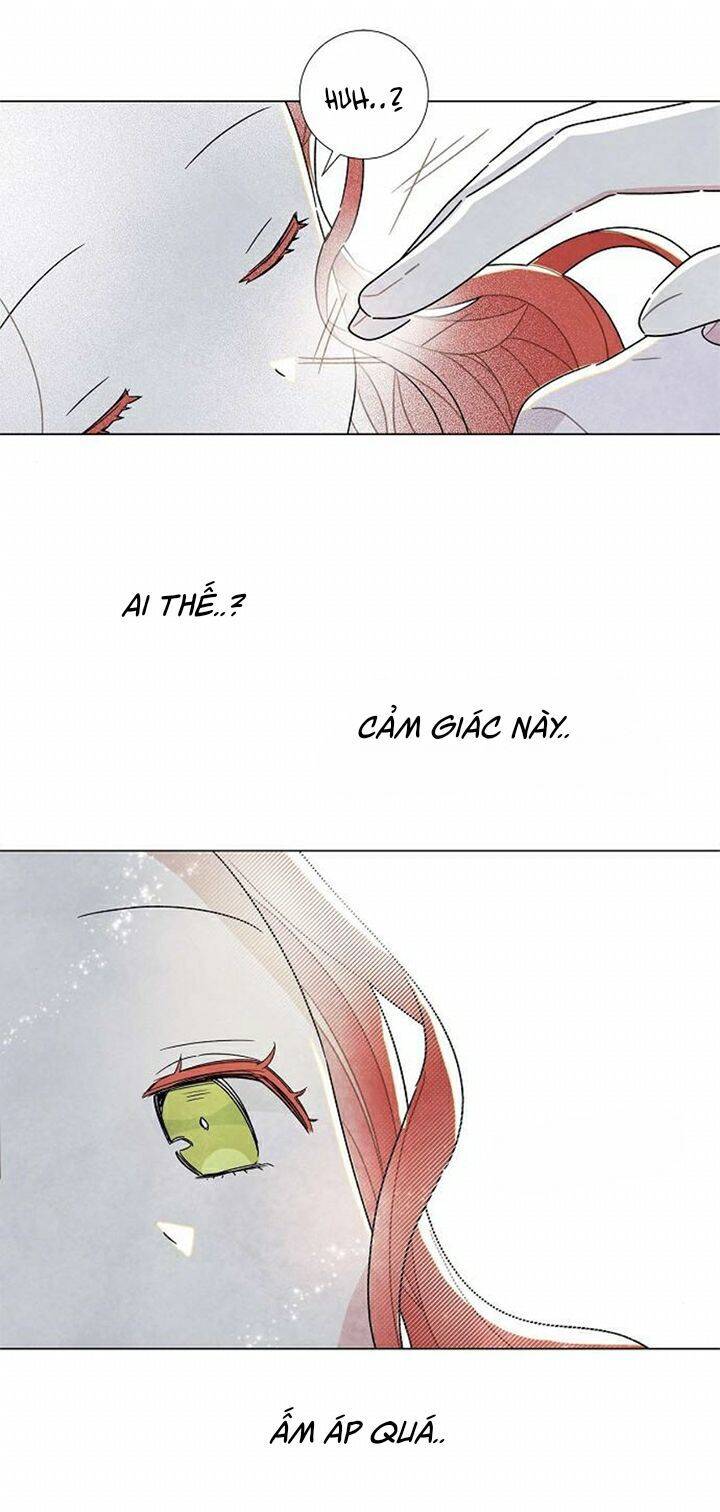 Tôi Đã Cướp Mất Đêm Đầu Tiên Của Nam Chính Chapter 22 - 36