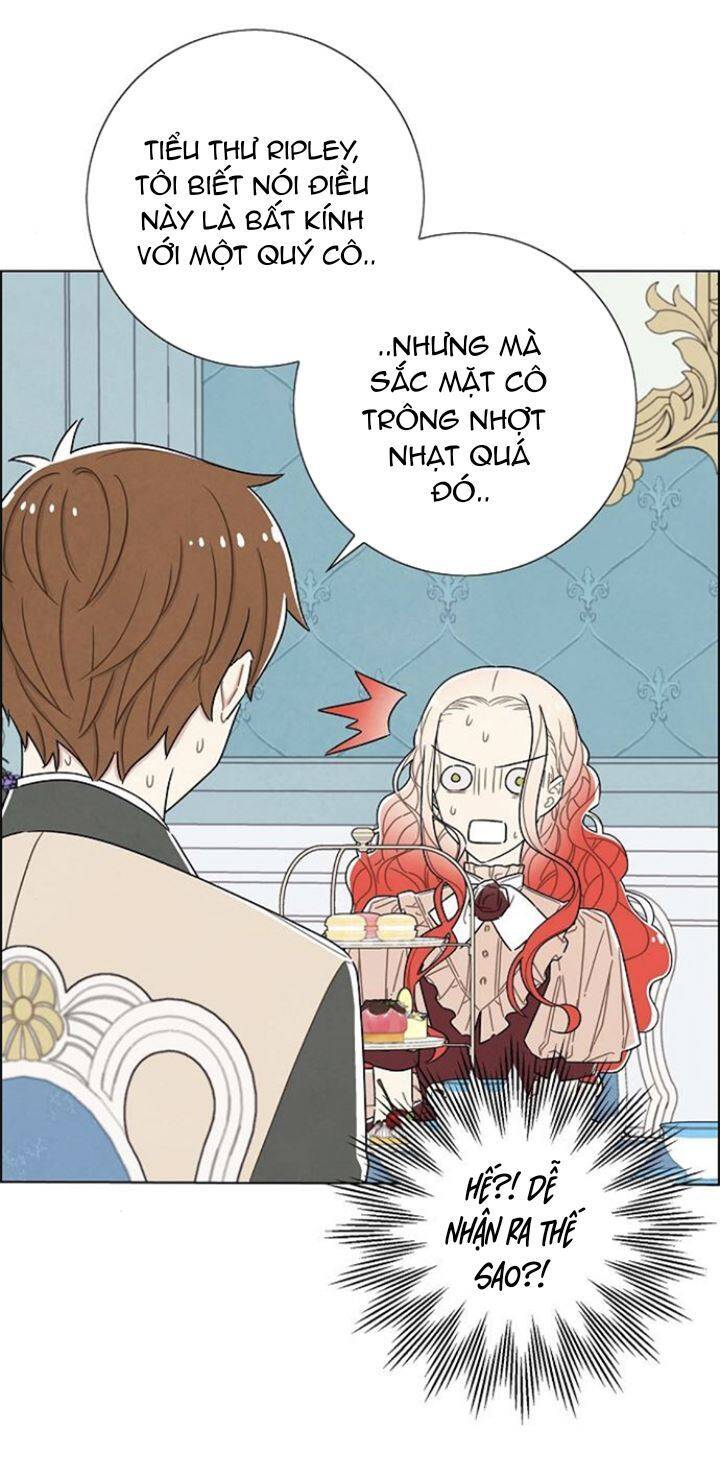 Tôi Đã Cướp Mất Đêm Đầu Tiên Của Nam Chính Chapter 33 - 17