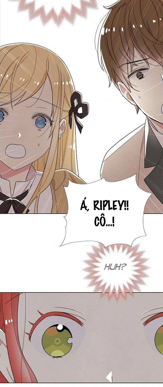 Tôi Đã Cướp Mất Đêm Đầu Tiên Của Nam Chính Chapter 33 - 22