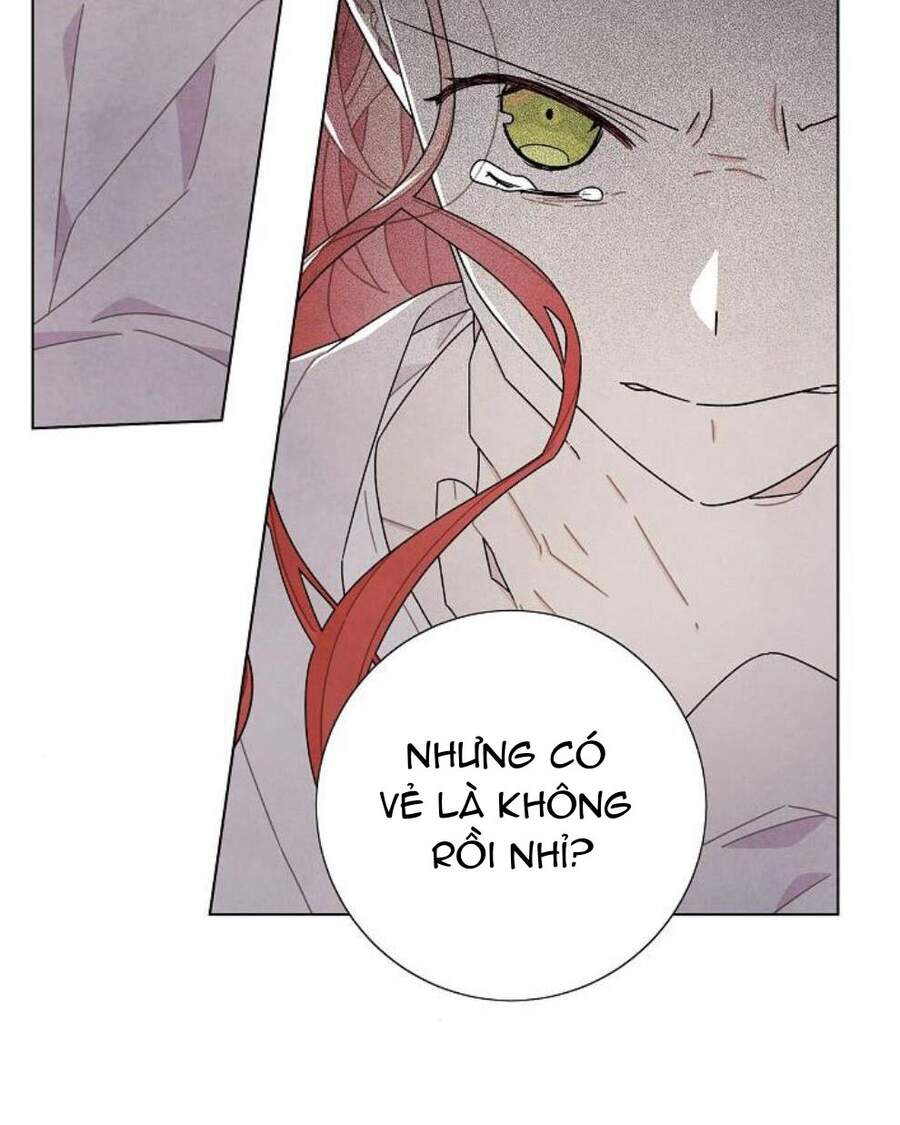 Tôi Đã Cướp Mất Đêm Đầu Tiên Của Nam Chính Chapter 55 - 49