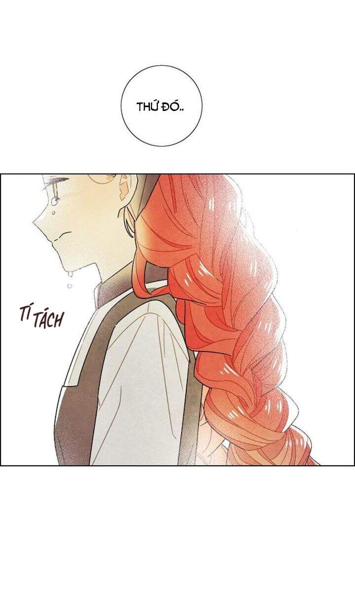 Tôi Đã Cướp Mất Đêm Đầu Tiên Của Nam Chính Chapter 67 - 18