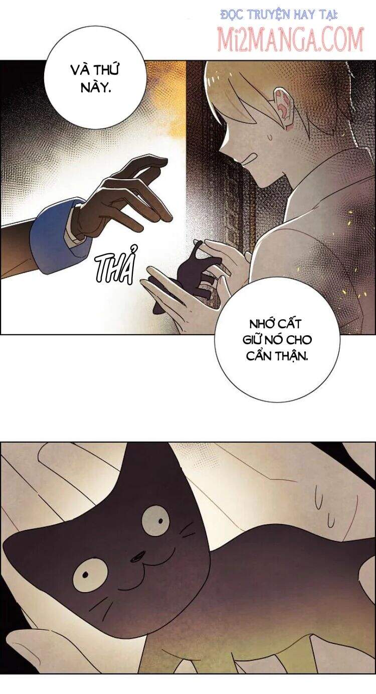 Tôi Đã Cướp Mất Đêm Đầu Tiên Của Nam Chính Chapter 72 - 20