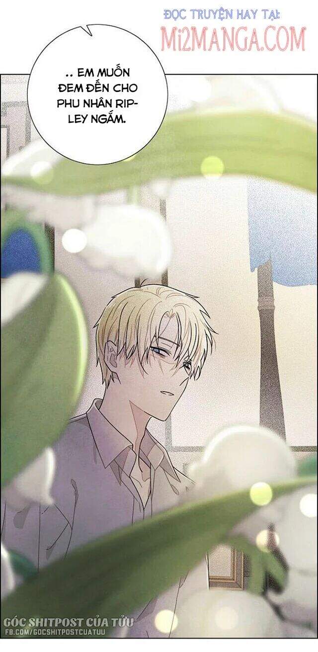 Tôi Đã Cướp Mất Đêm Đầu Tiên Của Nam Chính Chapter 73 - 21