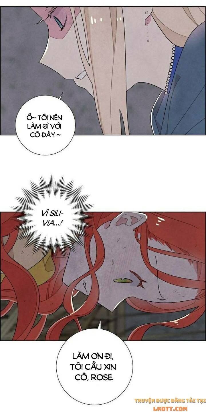 Tôi Đã Cướp Mất Đêm Đầu Tiên Của Nam Chính Chapter 37 - 14