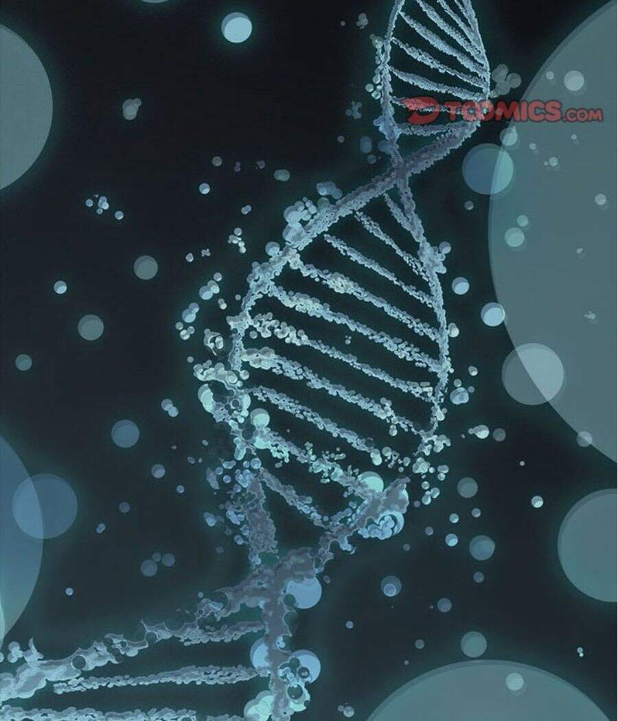 Đứa Con Thần Chết Chapter 173 - 59